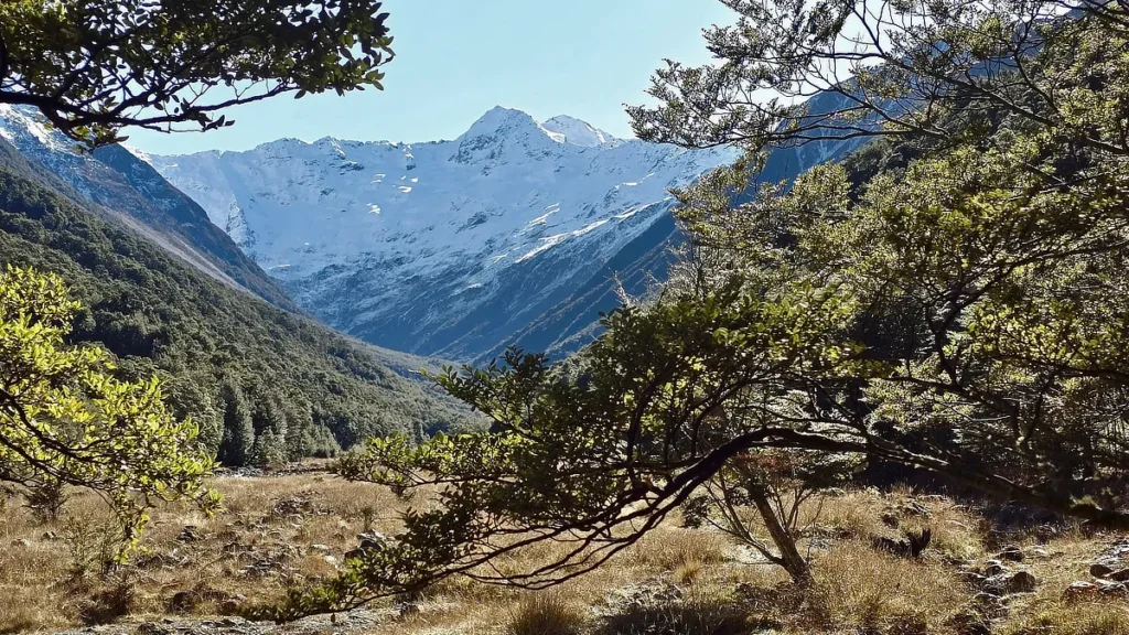 13i_spring-going-to-walk_H